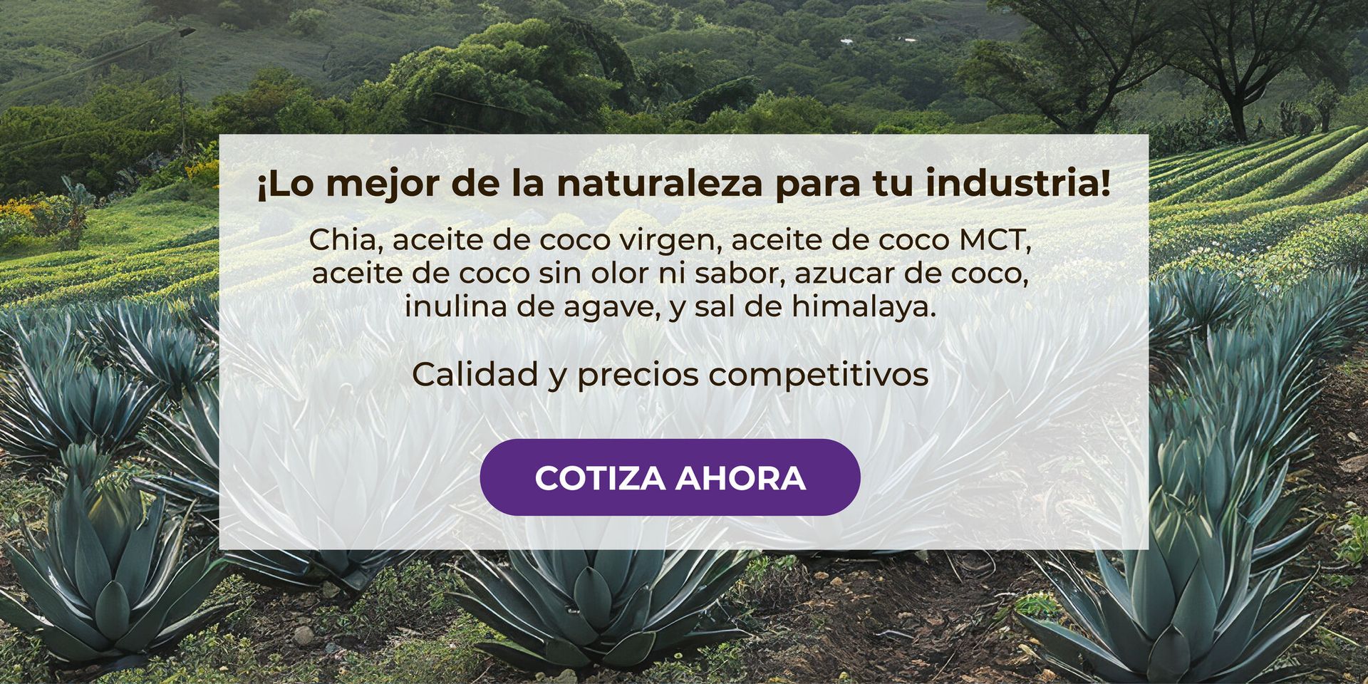 Banner Inulina de Agave