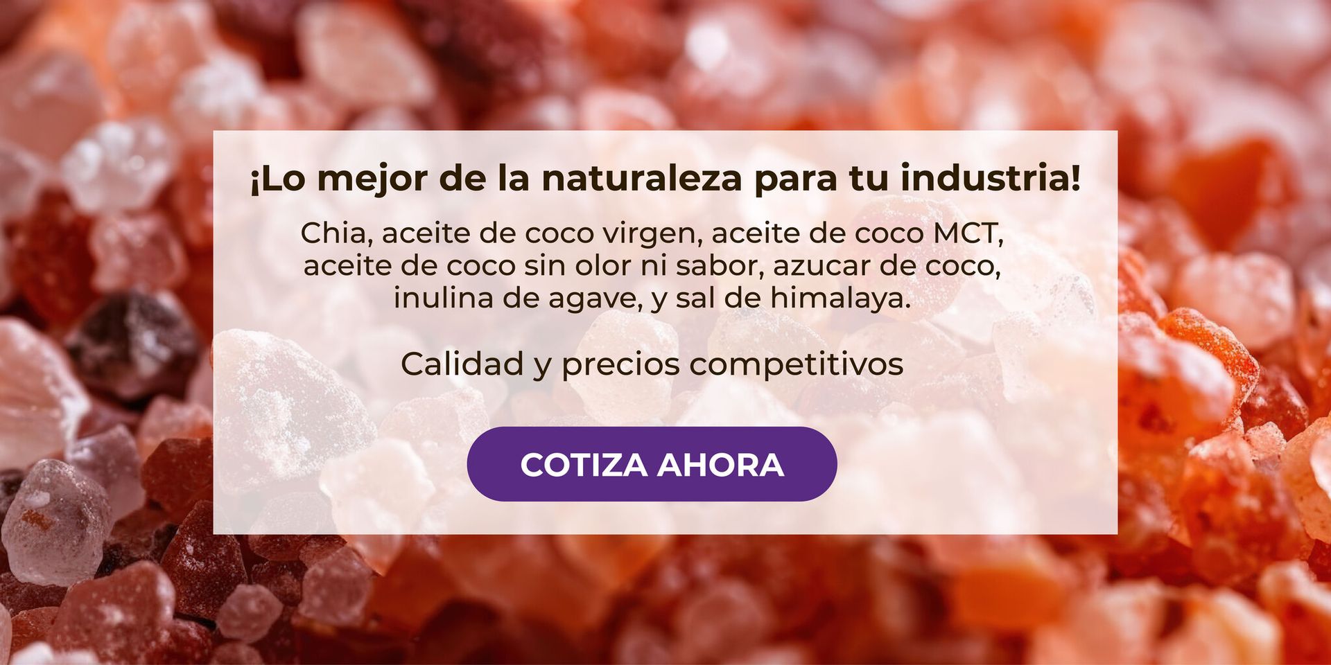 Banner Sal del Himalaya