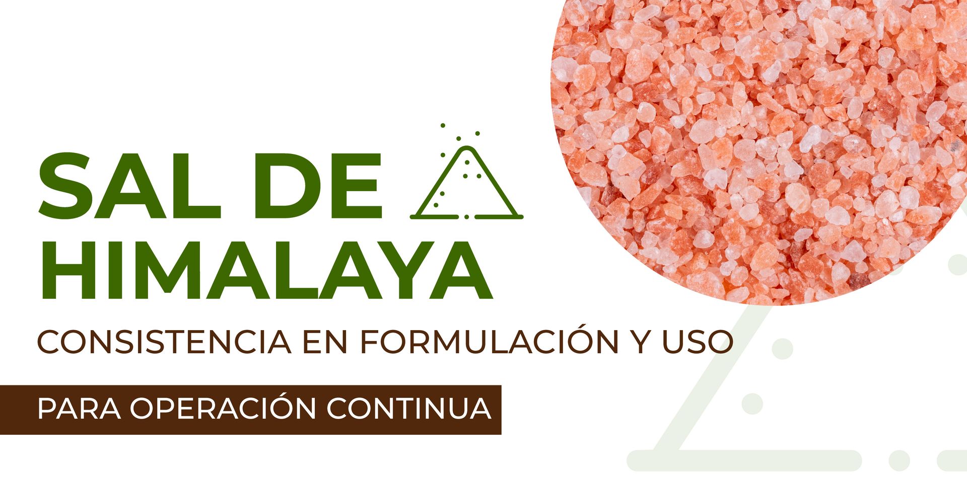 Sal del Himalaya