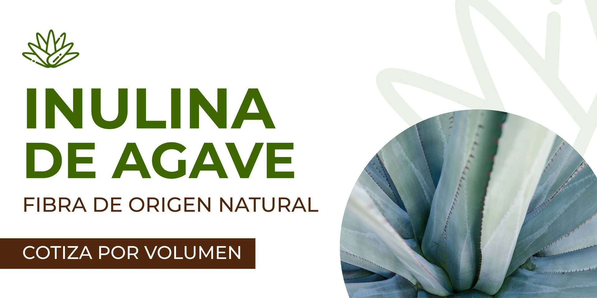 Inulina de Agave